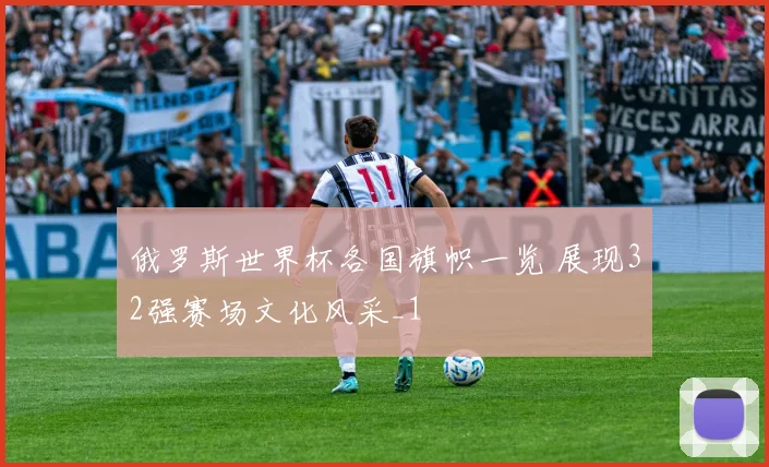 俄罗斯世界杯各国旗帜一览 展现32强赛场文化风采_1