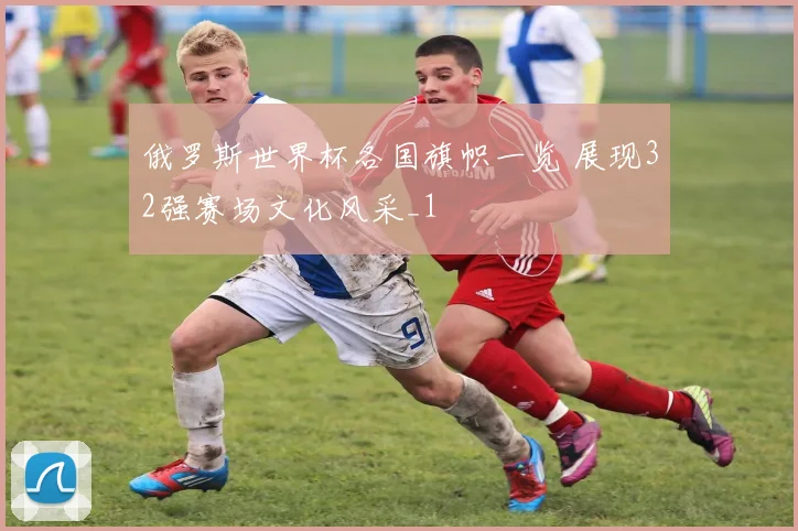 俄罗斯世界杯各国旗帜一览 展现32强赛场文化风采_1