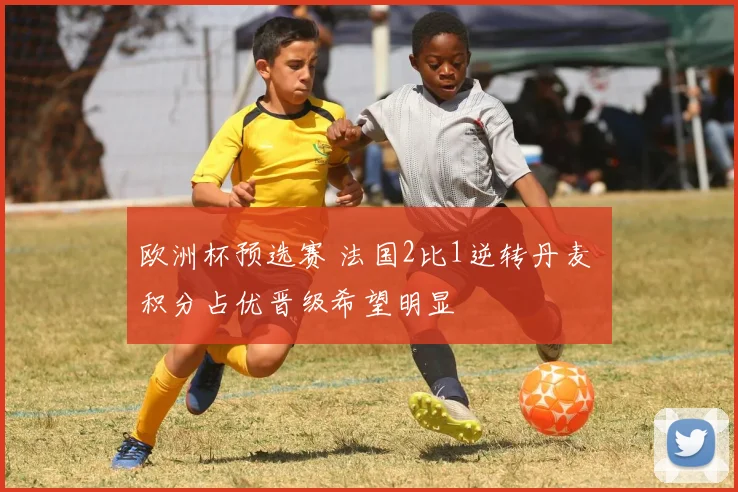欧洲杯预选赛 法国2比1逆转丹麦 积分占优晋级希望明显