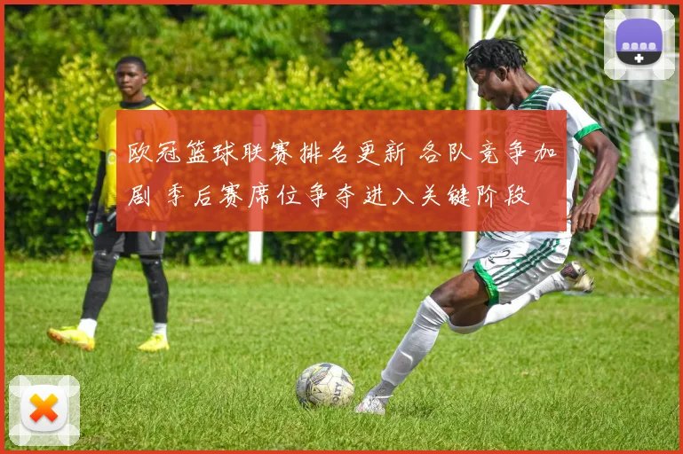 欧冠篮球联赛排名更新 各队竞争加剧 季后赛席位争夺进入关键阶段